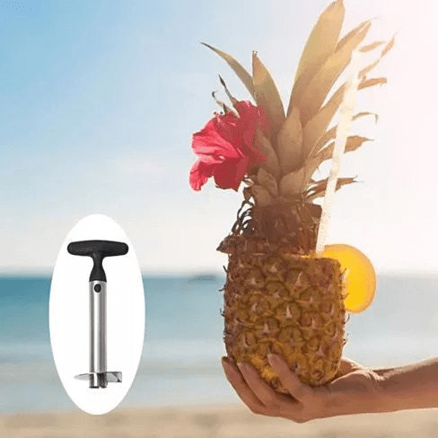 Pretty Prickly Pineapple Peeler The 4P Tool - Pantryjoy